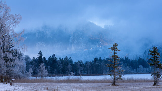 Trekking iaround the Schwanensee in Schwangau in Bavaria Germany in Winter 2025 - Snow and Ice - Winter Hiking - High quality photo