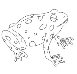 Cute cartoon hand drawn vector frog outline.