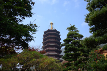 Pagoda-style architecture amidst the trees