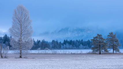 Trekking iaround the Schwanensee in Schwangau in Bavaria Germany in Winter 2025 - Snow and Ice - Winter Hiking - High quality photo