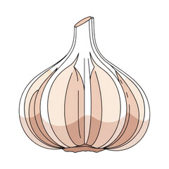 Illustration of a garlic bulb
