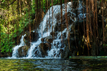 A small waterfall cascades over dark rocks into a calm pool, framed by hanging roots and dense green foliage, capturing the quiet beauty and freshness of a forest stream