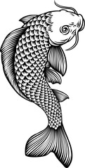 A koi carp coy fish. An original illustration in a vintage Japanese woodcut art style.