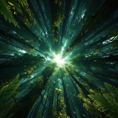 Fototapeta premium An upward view through tall trees, revealing a bright light filtering through the canopy
