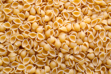 Conchiglie Rigate, Italian pasta raw uncooked