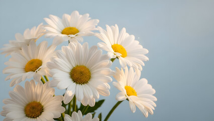 Obraz premium Bouquet of white daisies with yellow centers against a soft blue background