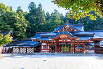 秋の盛岡八幡宮　岩手県盛岡市　Morioka Hachimangu Shrine in Autumn. Iwate Pref, Morioka City.	