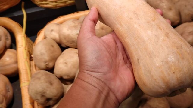 Hand choosing pumpkin or squash in a wooden basket at vegetable shop. Concept of organic vegetables for healthy eating habits, healthy lifestyle, natural food, fall vegetables and local market