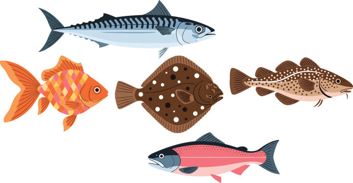 Marine Fish Vector Set with Mackerel Salmon Flatfish Cod and Tropical Species Ocean Illustration Collection
