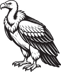 Naklejka premium Black and White Vulture Outline Illustration in Different Poses