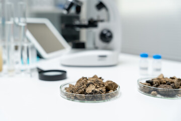 Geology, geological resource scientist, earth science, natural resource sustainability, soil minerals, laboratory testing, laboratory experiments, testing for chemical residues, Environmental science