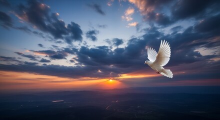 White Dove Flying Over Mountains at Sunset