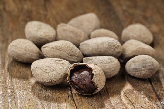 Kluwek also known as keluak, keluwak, or black nut - the seeds of the Pangium edule tree