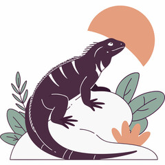 Obraz premium Black iguana on rock