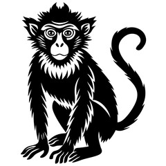 Black and white monkey silhouette © Mg