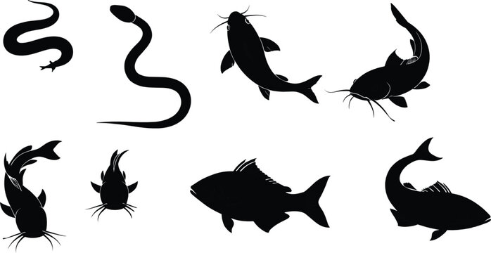 Freshwater Fish and Aquatic Animal Silhouette Vector Set with Eel Catfish and Carp Illustration