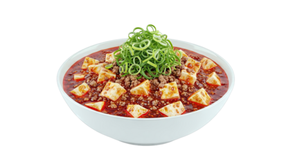 Mapo Tofu with Minced Pork and Scallions in a White Bowl