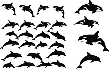 Orca Whale Silhouette Vector Set with Multiple Swimming Poses Killer Whale Marine Illustration Collection © Sumon Creative