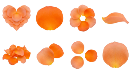Orange rose petal set including heart shape, circular arrangement, scattered group, and individual petals isolated. Floral decoration and wedding design element collection.