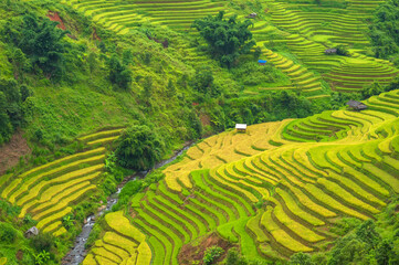 Natural and urban views of Vietnam