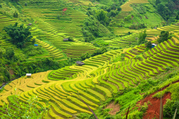 Natural and urban views of Vietnam