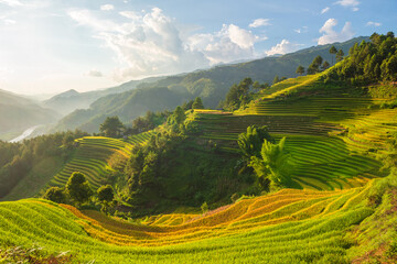 Natural and urban views of Vietnam