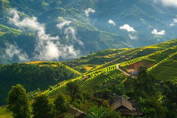 Natural and urban views of Vietnam