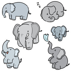 vector set of elephant cartoon