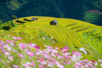 Natural and urban views of Vietnam