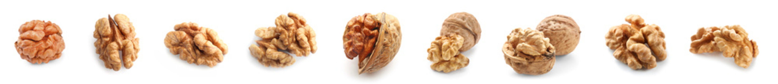 Set of tasty walnuts on white background