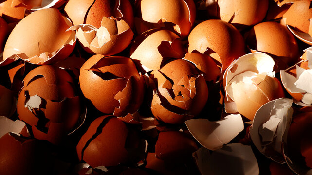 Egg shell texture background with dark side and light from sunshine. Food texture background of brown eggshells. Cracked egg, still life, authentic, abstract, ingredient concept for background, food d
