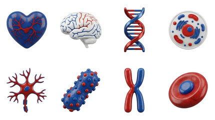 Medical and biology anatomy icons set including heart, brain, dna, cell, neuron, bacteria, chromosome, and erythrocyte isolated. Science and healthcare 3d illustration collection.