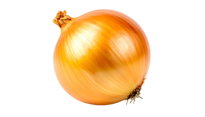 A whole, golden onion, isolated against a solid black background. Smooth skin and details