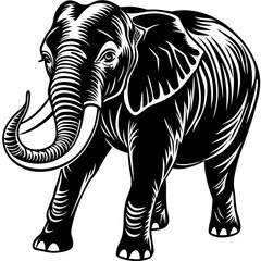 Fototapeta premium Silhouette of elephant walking, animal vector isolated on White Background