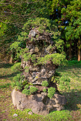 Jeju Island Art Land Fountain Park