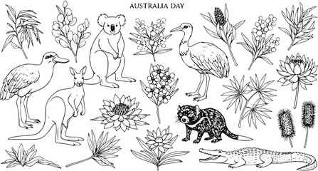Australia Day vector illustration of native animals and flora in black and white line art style for Australia Day celebrations and tourism © kulinadsgn