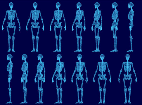 A set of human skeleton wireframes arranged in a grid on a stark blue background. This anatomical collection clearly displays detailed bone structure for educational or medical concepts.
