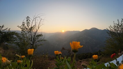 Beautiful Evening Landscape Featuring Wild Flowers Silhouetted against a Hilly Horizon under the Soft Warm Glow of a Setting Sun