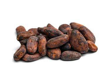Raw cocoa beans on a white background