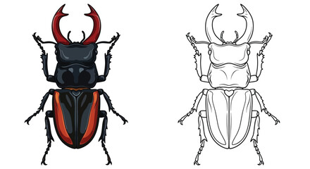 Stag Beetle Comparison Featuring Realistic Colored Illustration and Black and White Drawing