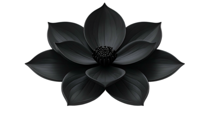A black, stylized lotus blossom with layered petals, floating against a black background