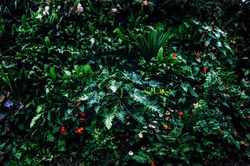 Tropical living wall made of layered foliage, ferns and flowering plants. Visual asset for interior greenery concepts, architectural design and commercial plant installations.