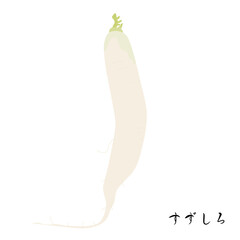 春の七草のすずしろのイラスト