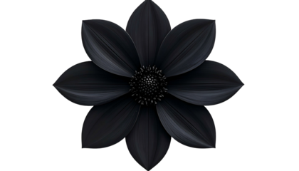 A stunning, perfectly symmetrical black flower with layered petals, centered on black