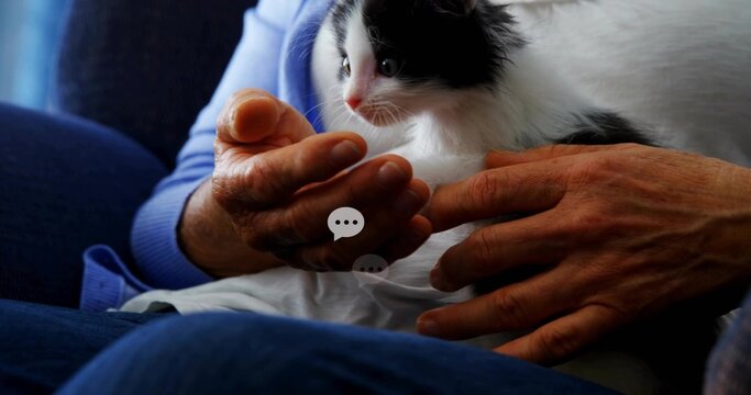 Cradling senior woman holding black-white kitten on blue couch, wrinkled hands, chat-bubble icons - Powered by Adobe