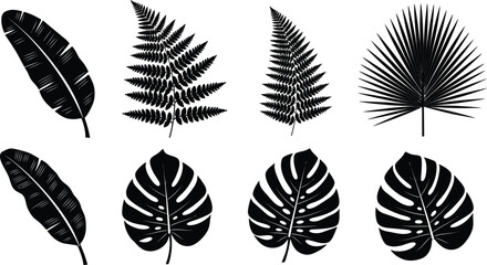 Collection of various tropical plant leaves and flowers, vibrant and lush foliage