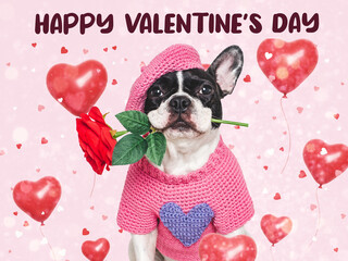 Happy Valentine's Day. Cute puppy and congratulatory inscription. Close-up, indoors. Studio shot. Congratulations for family, relatives, loved ones, friends and colleagues. Pets care concept