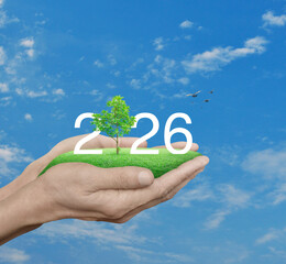 2026 white text with growing tree on green grass field in hands over blue sky, white clouds and birds, Happy new year 2026 ecological cover concept