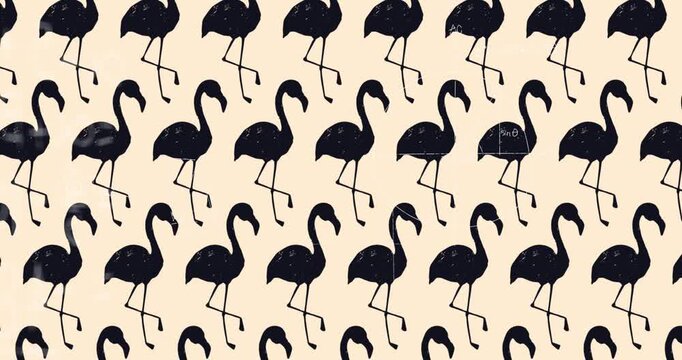Animation of mathematical equations and flamingos icons over yellow background