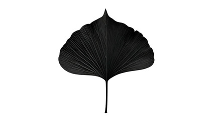 Dark, stylized leaf, centered in black. Radial veins and subtle light create depth